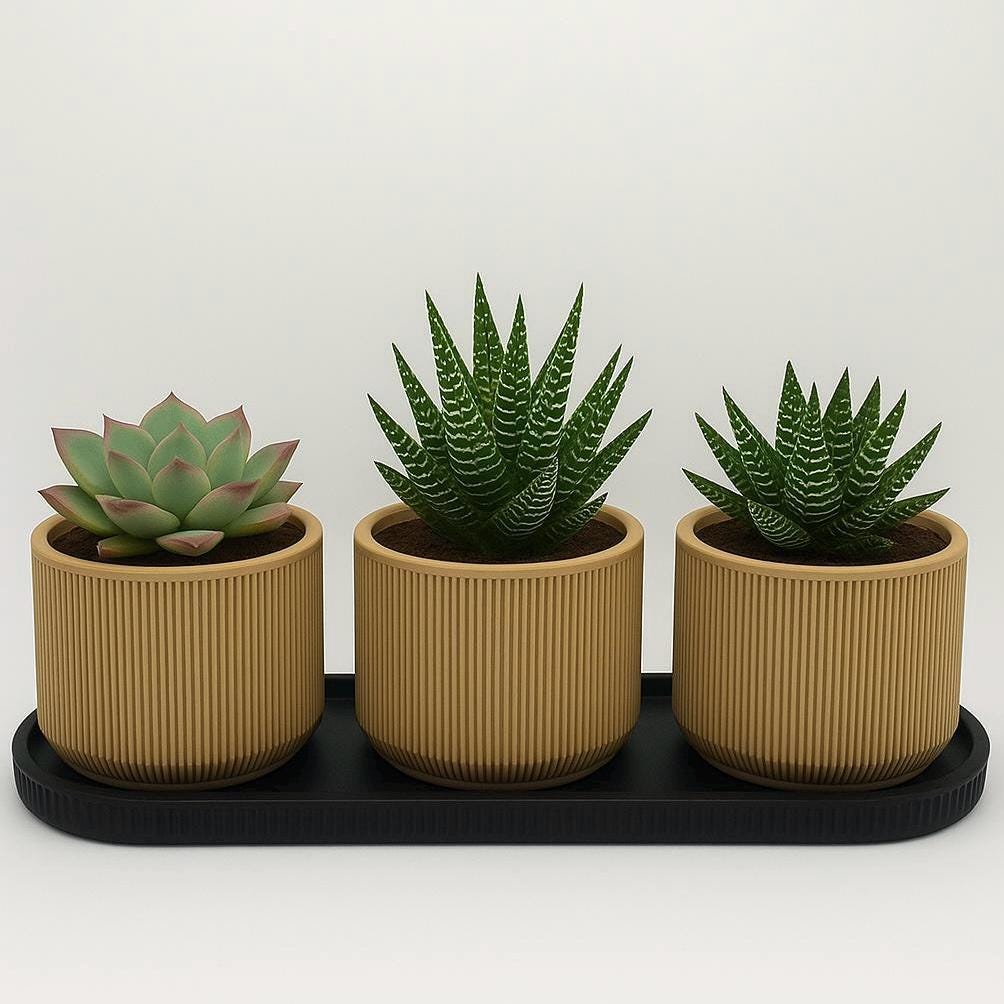 Modern Mini Planter Set: Tan Pots with Black Tray, Drainage