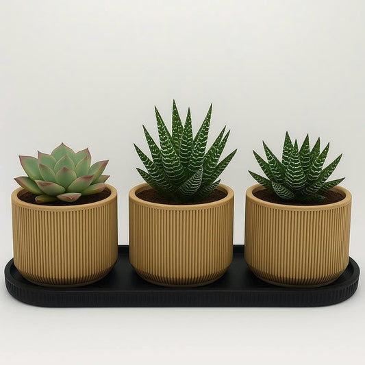 Modern Mini Planter Set: Tan Pots with Black Tray, Drainage