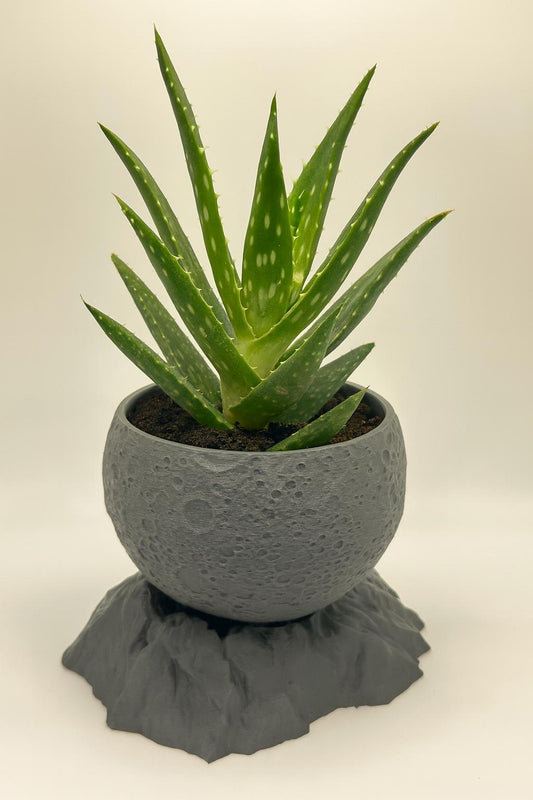 3D Printed Moon Planter with Stand: Lunar Pot with Drainage