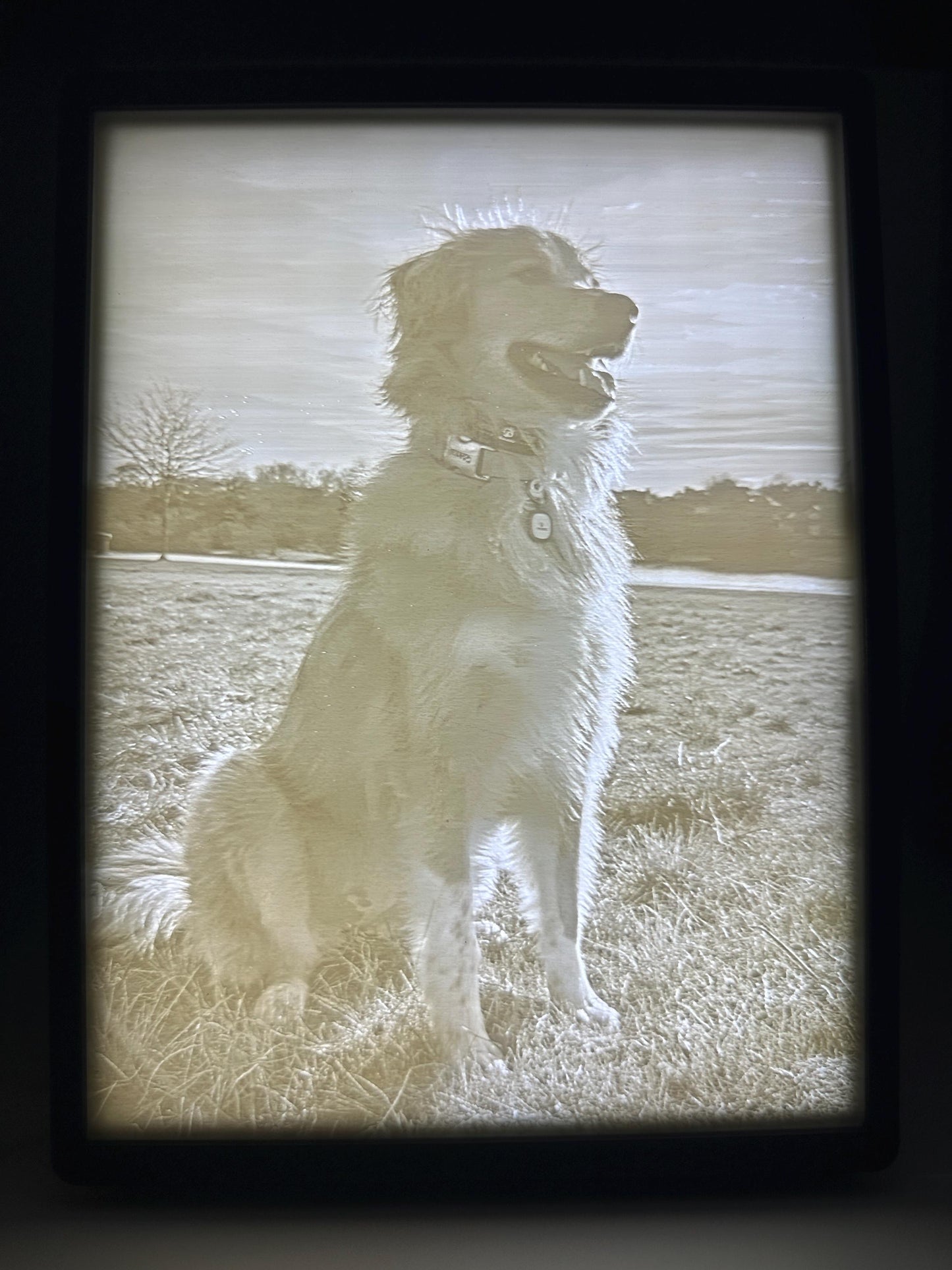 Custom 3D Photo Lithophane Lamp with Frame & Light – Personalized Lighted Picture, Pet Memorial Gift, Anniversary Gift, Photo Night light