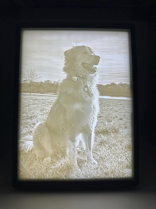 Custom 3D Photo Lithophane Lamp with Frame & Light – Personalized Lighted Picture, Pet Memorial Gift, Anniversary Gift, Photo Night light