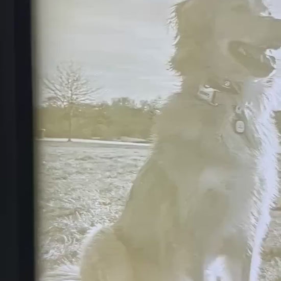 Custom 3D Photo Lithophane Lamp with Frame & Light – Personalized Lighted Picture, Pet Memorial Gift, Anniversary Gift, Photo Night light